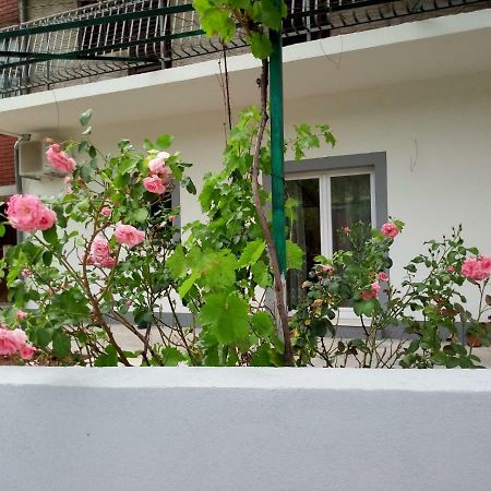 Apartmani Alma Skradin Εξωτερικό φωτογραφία